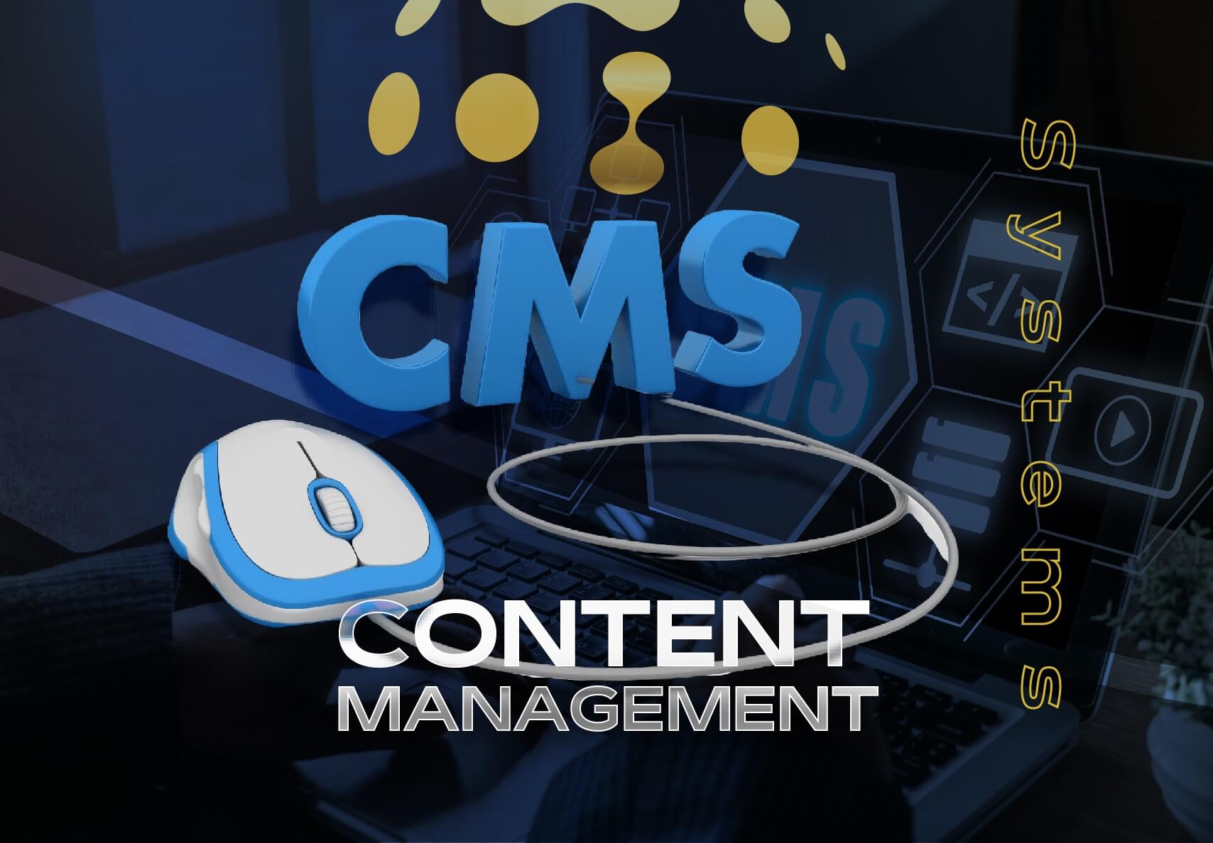 Content Management Systems (CMS)